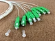 fiber optic loose tube