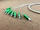 loose tube fiber optic